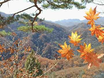 哪里有私人打胎药卖宇瞳光学：公司管理层持续看好公司行业及市场前景